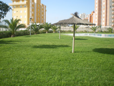 Mantenimiento de Comunidades