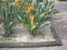 Mantenimiento de Comunidades